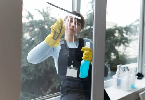 Nettoyage de vitres intérieures et extérieures à Sainte-Colombe-des-Bois